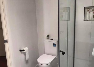 Toilet beside a black-framed sliding shower screen