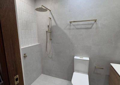 Ensuite with brass rail shower, toilet and skylight