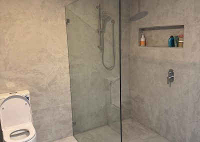 Walk-in shower with frameless glass screen and recessed niche, toilet beside it